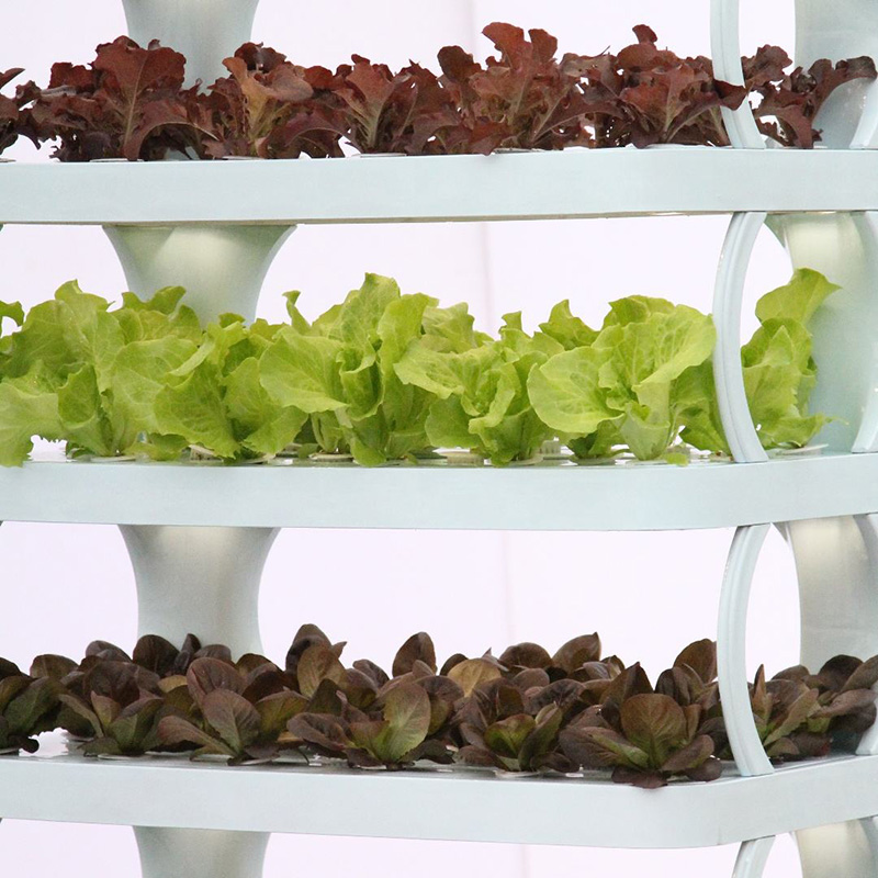 Smart Hydroponic Growing System