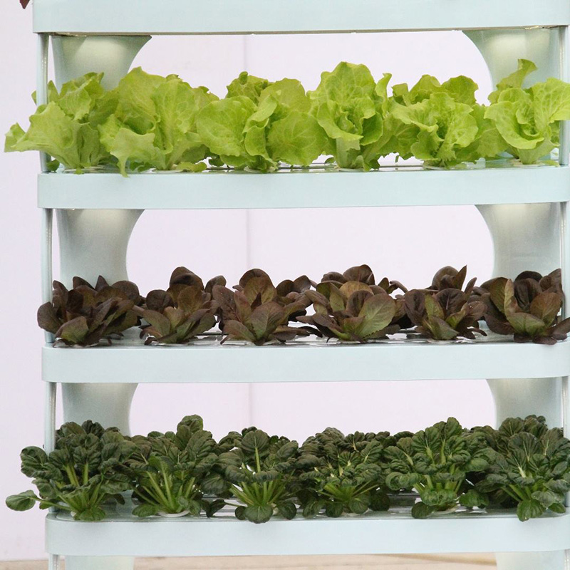 Indoor Plant Cabinet