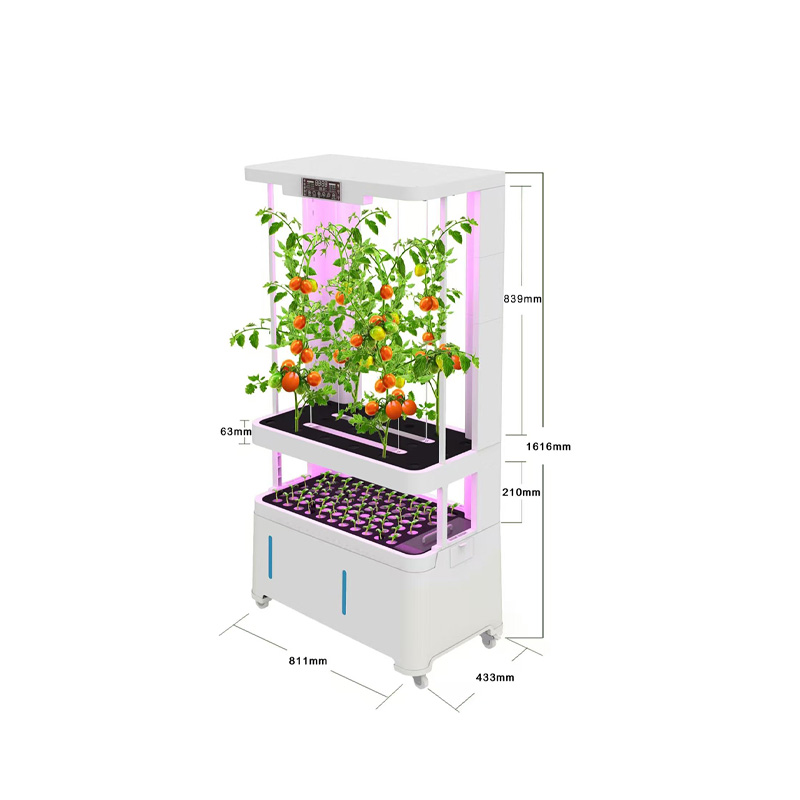 Vertical Farming Hydroponic