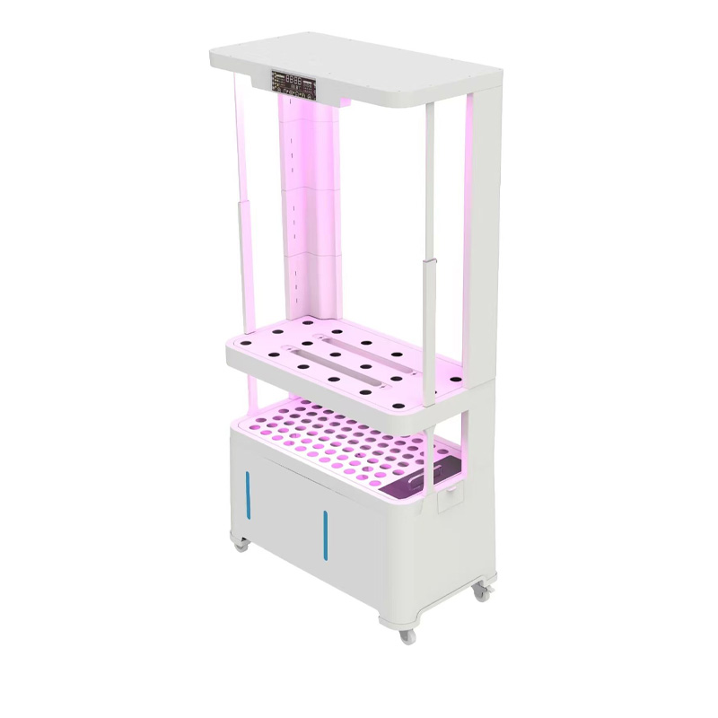 Vertical Farming Hydroponic