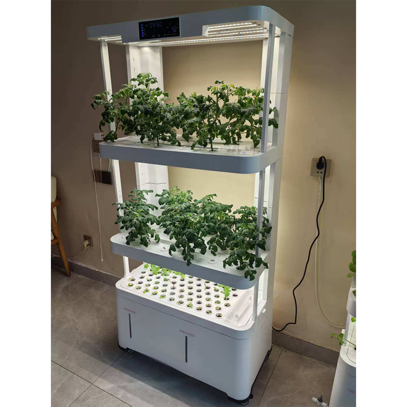 Vertical Farming Hydroponic