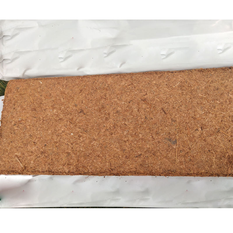 Coconut Peat for Hydroponic Systems