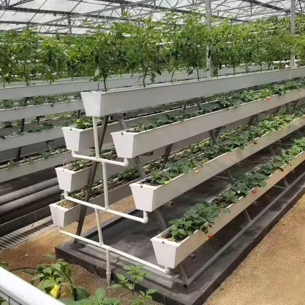 Strawberry Gutter System