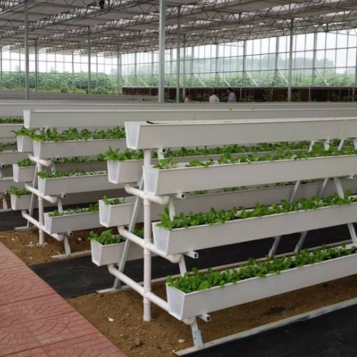 Hydroponic Strawberry Gutters