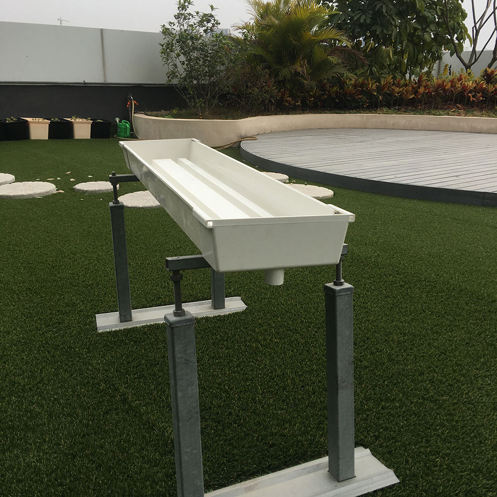 Growing Strawberry Plants in Gutters