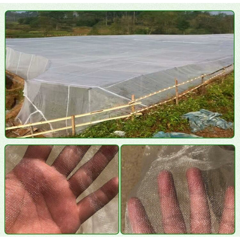 Greenhouse Insect Net