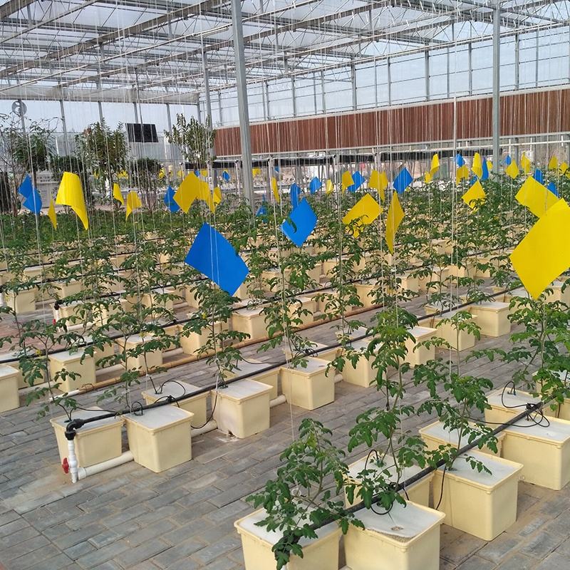 Dutch Bucket System