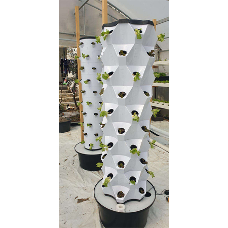 Pineapple Tower Hydroponic